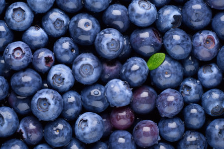 detailed photographs of blueberries, created with generative aiの素材