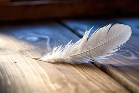 close-up of a doves feather on a wooden surface, created with generative aiの素材
