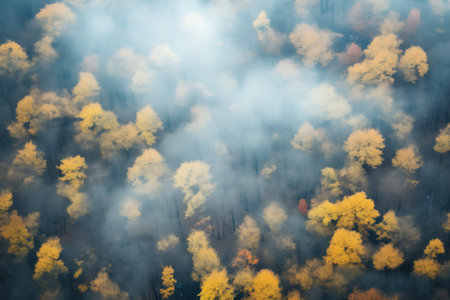 dense fog texture against dark backdropの素材