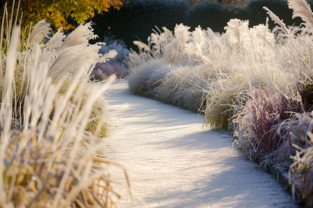 frostcovered path with a fuzzy winter garden sceneの素材