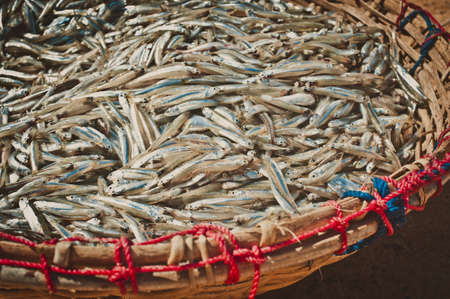 Fish in a basketの写真素材