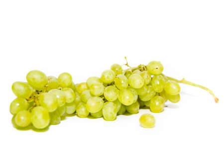 grapes on white backgroundの写真素材