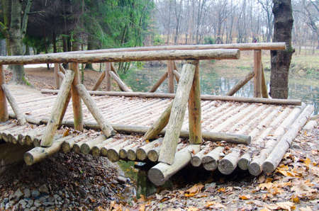 wooden bridge in the autumn forestの写真素材