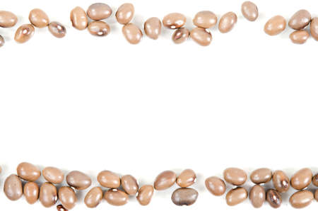 Seeds of beans on white backgroundの写真素材