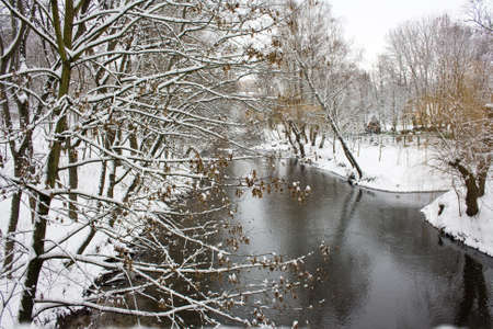 River in a winter forest 