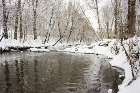 River in a winter forest の写真素材