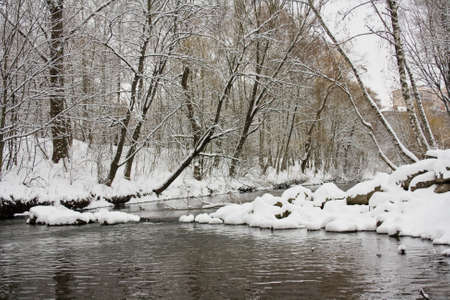 River in a winter forest 