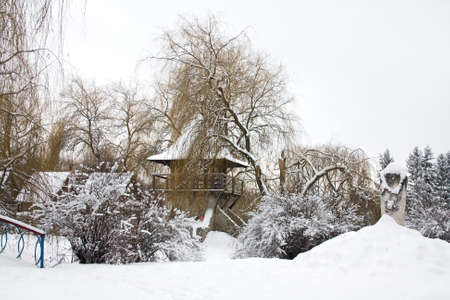 snow tree in winter parkの写真素材