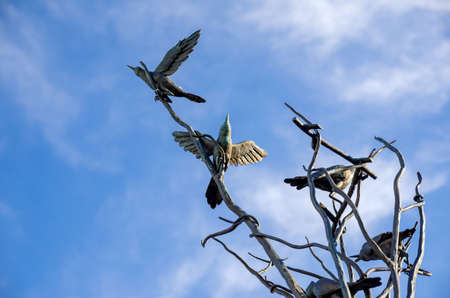 iron fence element closed up above blue skyの写真素材