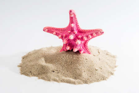 Sand with starfish isolated on white background, close upの写真素材