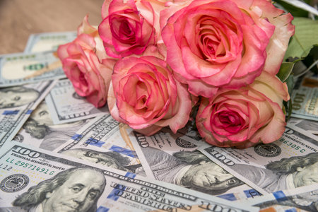 Beautiful rose and moneyの写真素材
