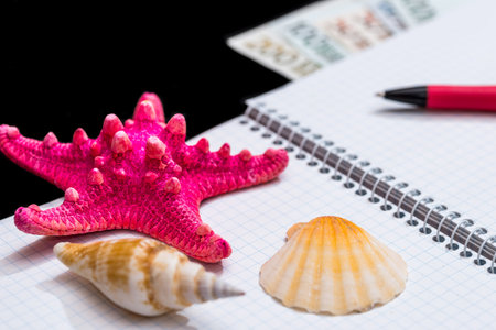 Blank open notepad with seashells, pen and dollar isolated on black background