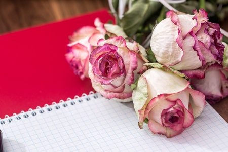 roses with empty note and penの写真素材