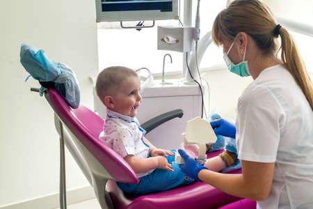 the dentist teaches the little boy how to properly brush his teethの写真素材