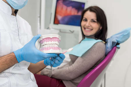 Dentist holding model of jaw in hands closeupの写真素材