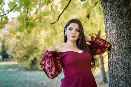 Young princess  in a beautiful red dress in park. The background is bright, golden autumn nature.の写真素材