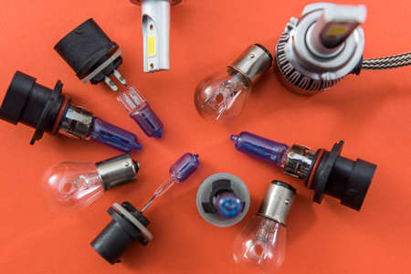 Different shapes and sizes car light bulbs isolated on orange. Modern auto glass lamp. energy powerの写真素材
