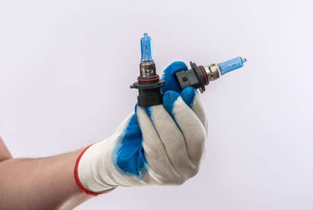 Human hand in glove holding new halogen car light bulbs, isolated. Lamp for automotive headlightの写真素材