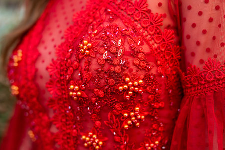 close up of a red dress on the sleeveの写真素材