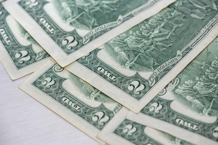 financial background - 2 US dollars on the reverse side. back