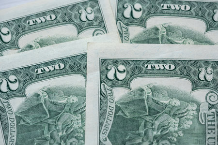 financial background - 2 US dollars on the reverse side. back