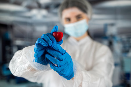 female doctor in a blue uniform wearing a mask holds a small red heart with her hands as a symbol in...