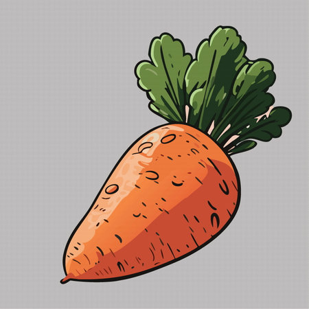 orange fresh carrots, healthy food for diets, cooking breakfast. vector illustration 10 epsのイラスト素材