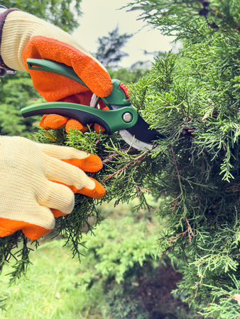 A person is seen using a pair of scissors to cut a branch from a tree in a natural landscape with a...