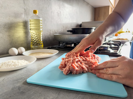 Female hands mix minced meat as prerape to cook raw food. Cooking conceptの写真素材