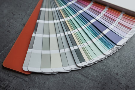 Guide of paint samples catalog, color and shadows palette. Variation coloring spectrumの写真素材