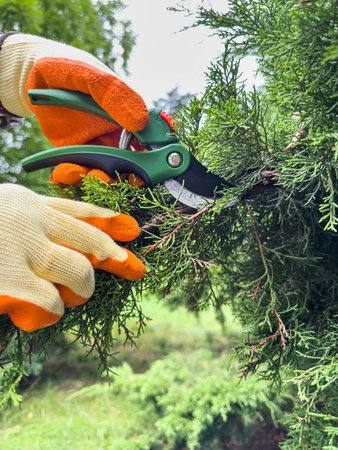 A person is outdoors cutting a tree branch with a pair of scissors under the sky amidst grass. The gesture focuses on a woody plant in a terrestrial biomeの写真素材