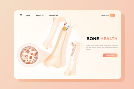 Broken bone landing page template. Vector illustration of human bones.のイラスト素材