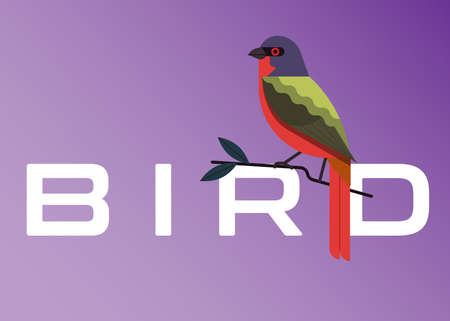 beautiful hummingbird vector design many colors For banner, background,business backgroundのイラスト素材