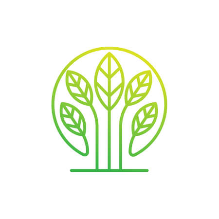 Leaf Logo design vector illustration. Abstract Leaf Logo vector in creative design concept for nature, agriculture and farm business. Tree Leaf Logo, icon, sign and symbol vector design illustrationのイラスト素材