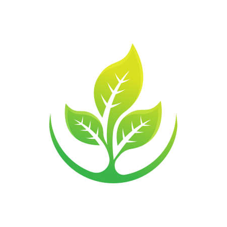 Leaf icon design vector illustration. Abstract Leaf icon vector concept for nature, agriculture and farm business. Green Tree Leaf Logo, icon, sign and symbol vector design illustration.のイラスト素材
