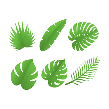 Leaf icon design vector illustration. Abstract Leaf icon vector concept for nature, agriculture and farm business. Green Tree Leaf Logo, icon, sign and symbol vector design illustration.のイラスト素材