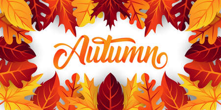 Autumn background vector with decorative leaves. Autumn fall Vector background template. Abstract...