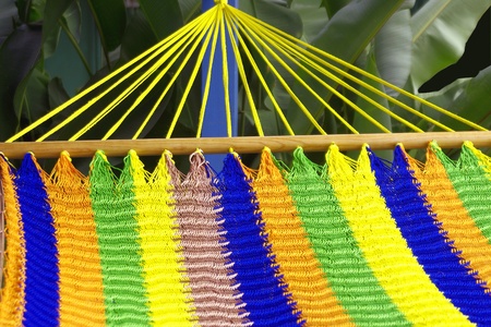 Striped Hammock Nestled in Palm Leavesの写真素材