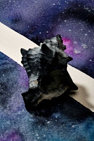 Seashells set up on abstract painted paperの写真素材