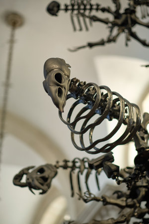 Black glass chandelier exhibited in Venice. High quality photoの写真素材