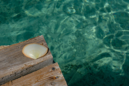 sea shell at cayo cangrejo, crab key, in Providencia island, Colombiaの写真素材