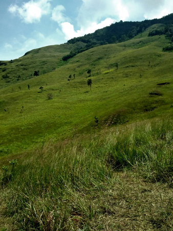one of a beautiful green meadow in Solok, Indonesiaの写真素材