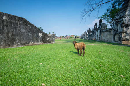 The ruin of old indonesian Kingdomの写真素材
