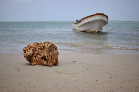 Boat and coral on the beachの写真素材