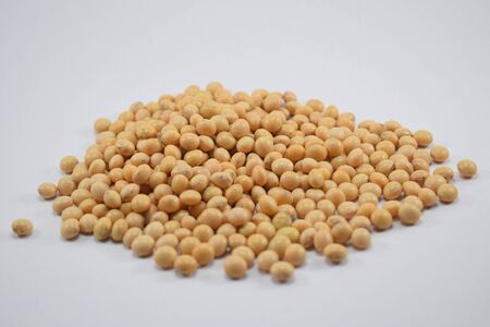 Soya beans on white backgroundの写真素材
