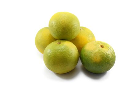 Group of oranges on white backgroundの写真素材