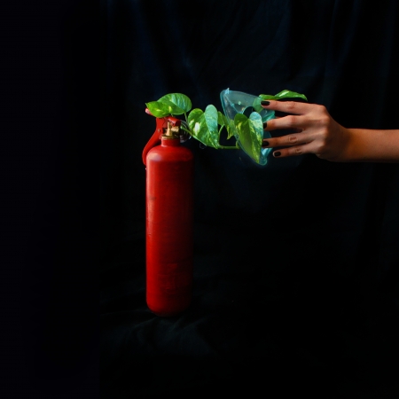 oxygenの写真素材