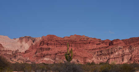Huge cactus surrounded by beautiful mountains of reddish tonesの写真素材