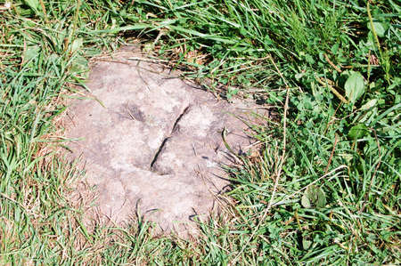 An ancient cross is carved on the stoneの写真素材