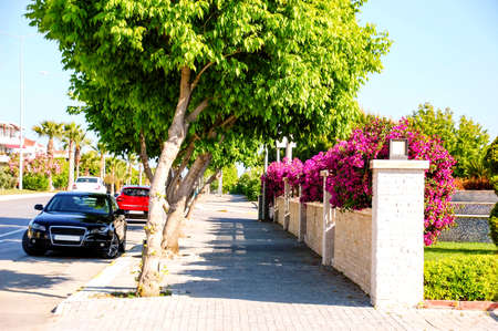 Scenic sidewalk and road in the southの写真素材